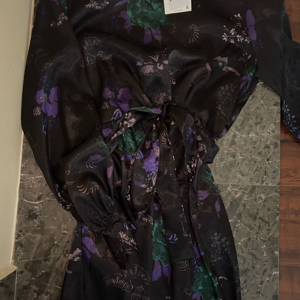 Zara Japanese Style Dress